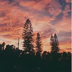 Meet your Posher, Laurel